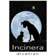 Logo Incinera Divetran