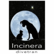 Logo Incinera Divetran
